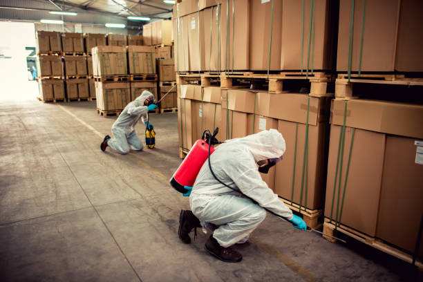 Best Cockroach Control Services  in Valley Springs, CA
