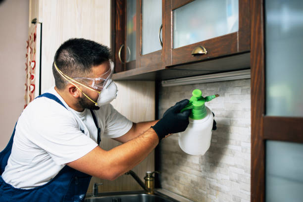 Best Pest Control Near Me  in Valley Springs, CA