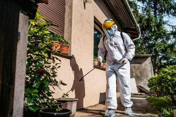 Best Rat Extermination Near Me  in Valley Springs, CA