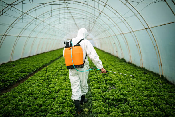 Best Pest Prevention Services  in Valley Springs, CA