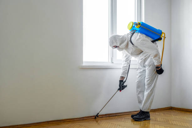 Pest Prevention Services in Valley Springs, CA
