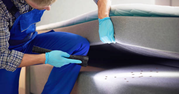 Best Bed Bug Extermination  in Valley Springs, CA