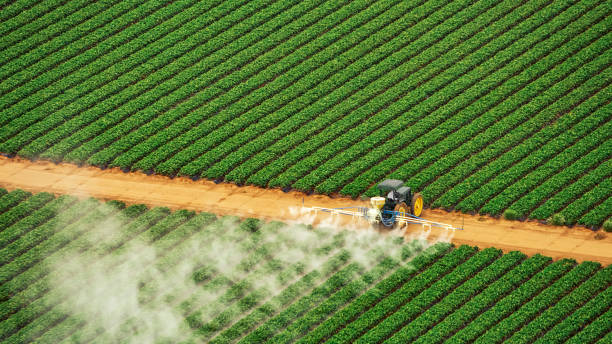 Best Pest Control Treatment  in Valley Springs, CA