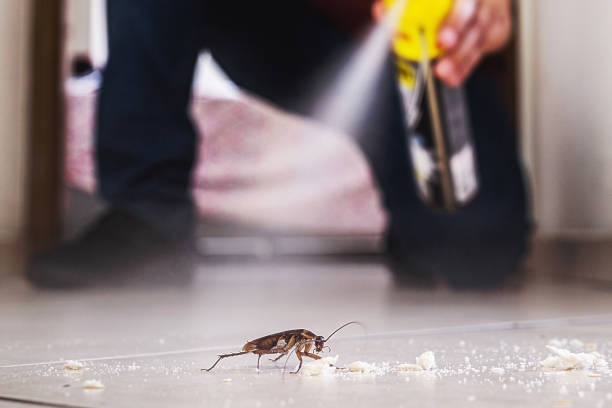 Best Best Pest Control Companies  in Valley Springs, CA